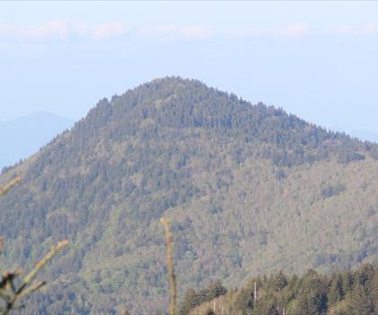 Plott Balsam Mountain, North Carolina trail - hiking in Mountains