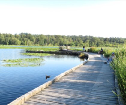 Burnaby Lake trail - hiking in Vancouver Coast Mountains