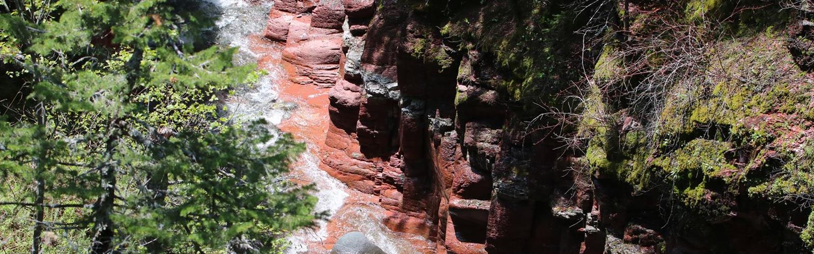Sentier chutes Blakiston - randonnée en Southern Rockies