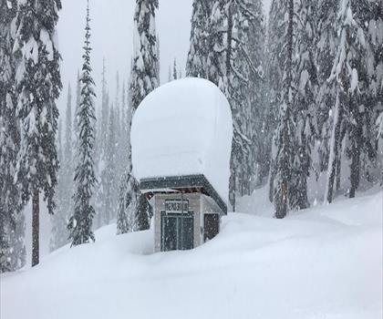 Powder King Mountain Resort trail - hiking in Northern British Columbia