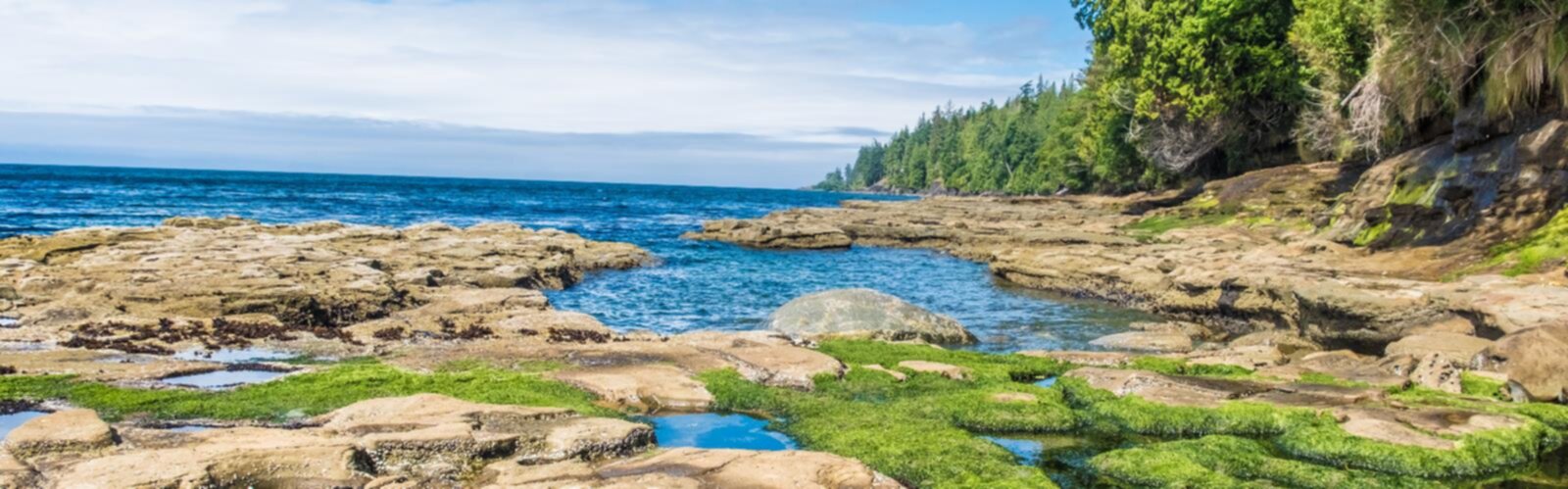 Hiking Juan de Fuca Marine Trail - panoramic view