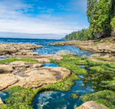 Sentier Juan de Fuca Marine Trail - randonnée en Île de Vancouver