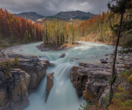 Sunwapta Falls trail - hiking in Canadian Rockies