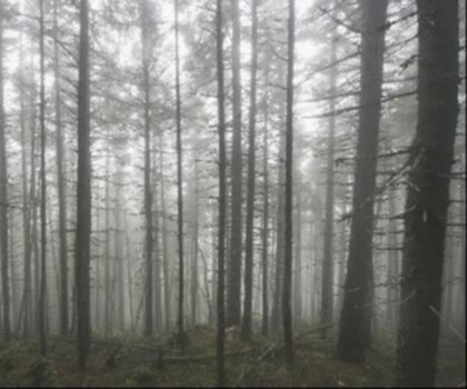 Chairback Mountain, Maine trail - hiking in Maine Highlands