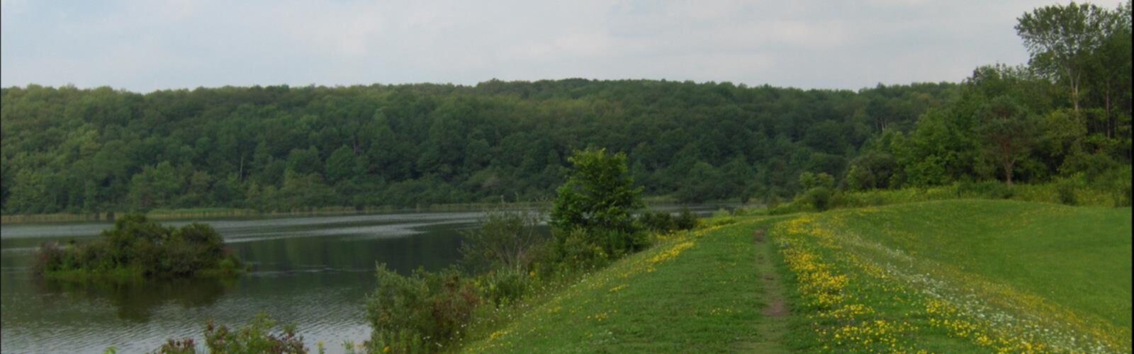 Hiking Tassel Hill, New York - panoramic view