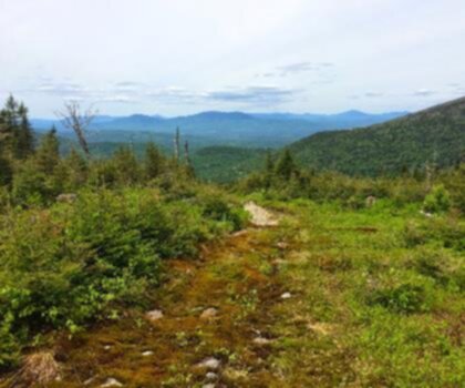 Mount Redington, Maine trail - hiking in Western Mountains