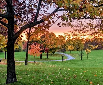 Centrepointe Park trail - hiking in Ottawa and Countryside