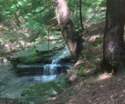 Sentier Connecticut Hill, New York - randonnée en Finger Lakes