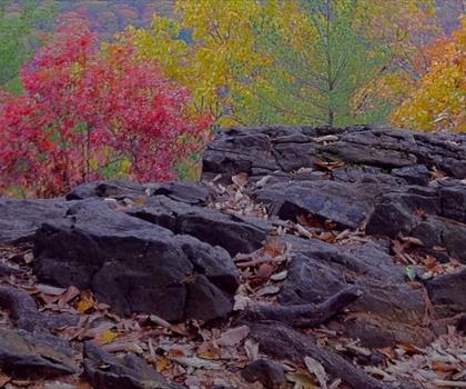 Appalachian Trail CT trail - hiking in Western Connecticut