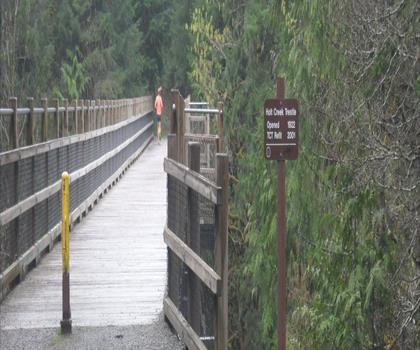 Cowichan River Provincial Park trail - hiking in Vancouver Island
