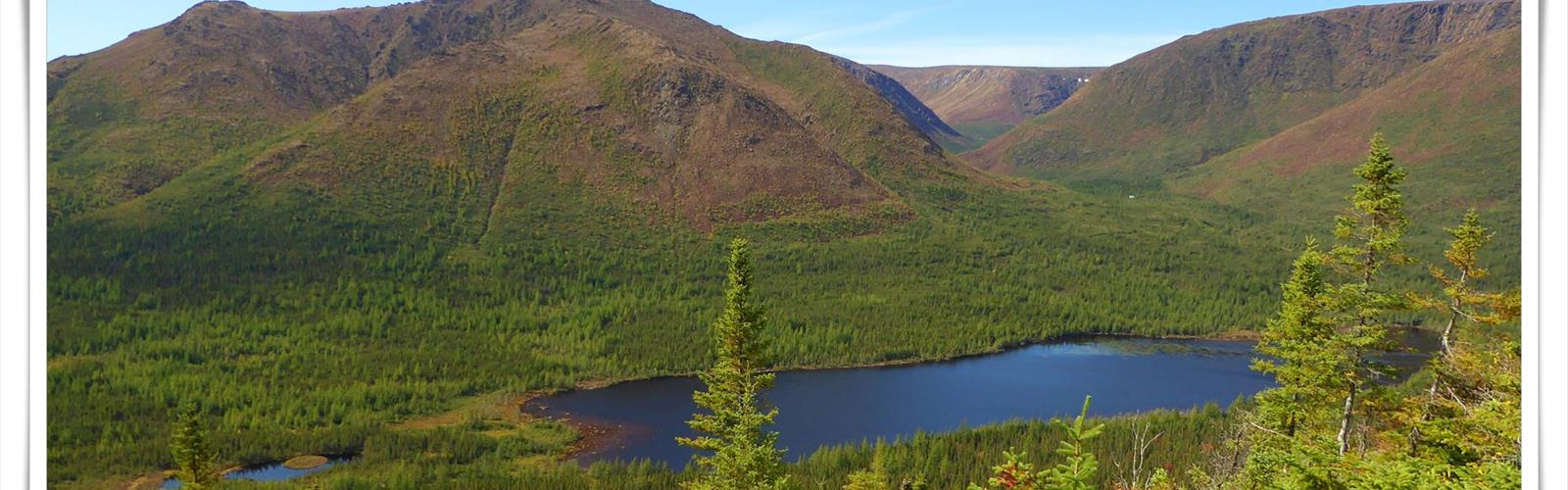 Sentier Champs de Mars - randonnée en Gaspésie