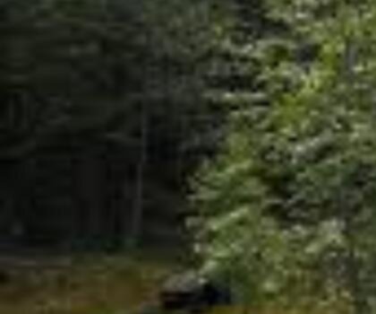 Sachigo Hills, Ontario trail - hiking in Northwestern Ontario
