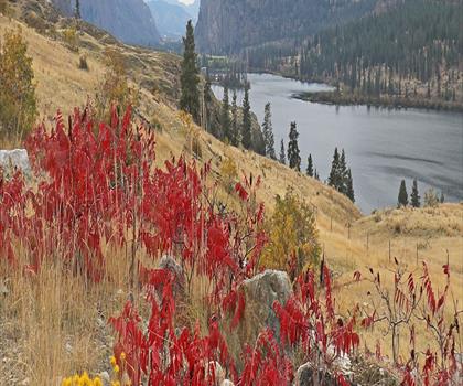 Vaseux Lake trail - hiking in Thompson Okanagan