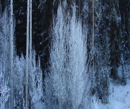 Kane Valley trail - hiking in Thompson Okanagan