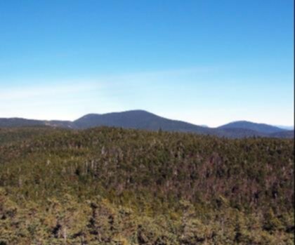 Spaulding Mountain, Maine trail - hiking in Western Mountains