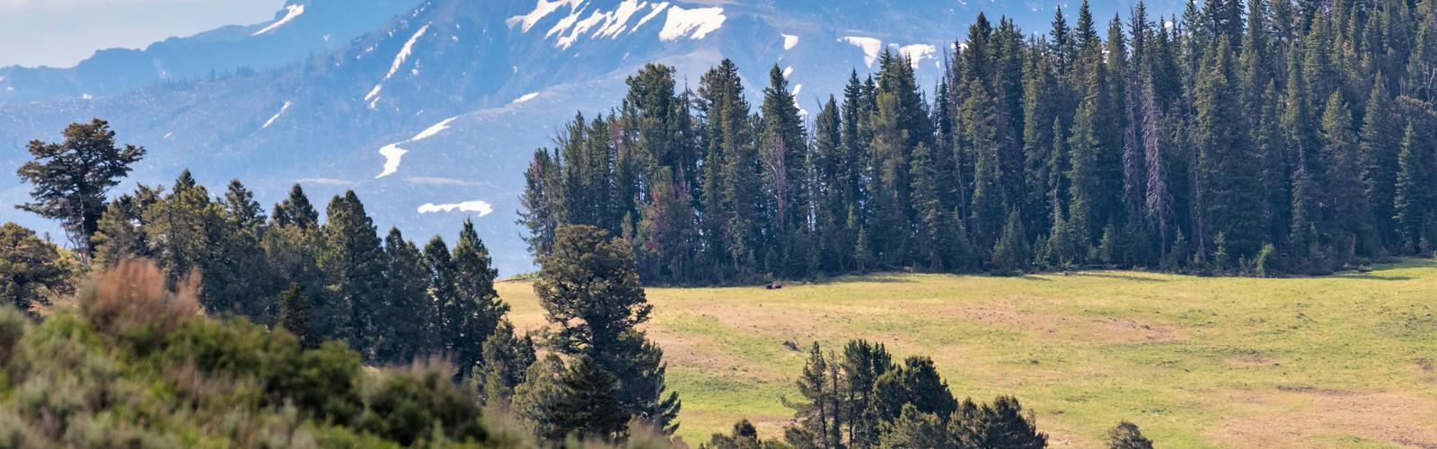 Pollux Peak, Wyoming trail - hiking in Yellowstone & Grand Teton