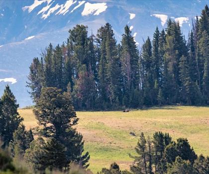 Pollux Peak, Wyoming trail - hiking in Yellowstone & Grand Teton