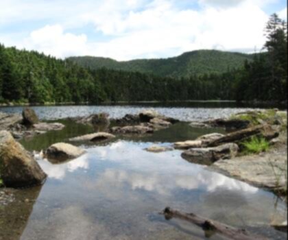 Sterling Mountain, Vermont trail - hiking in Central Vermont