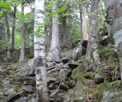 Sentier lac Caddy - randonnée en Région de l'Est