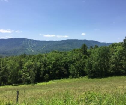 Stark Mountain, Vermont trail - hiking in Central Vermont