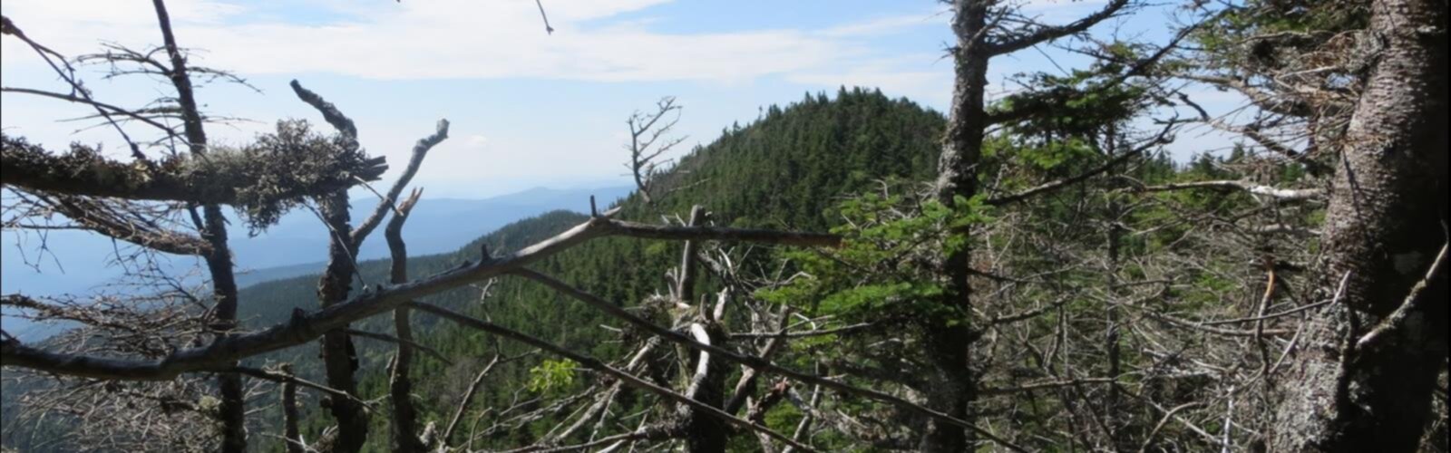 Hiking Nancy Hanks Peak, Vermont - panoramic view