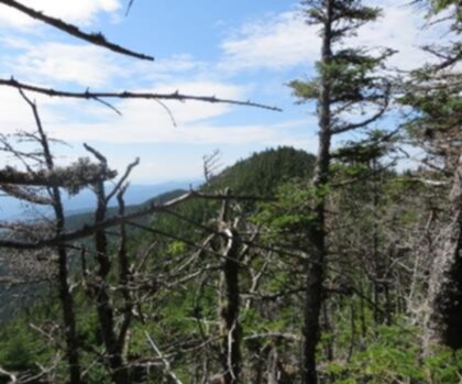 Nancy Hanks Peak, Vermont trail - hiking in Green Mountains