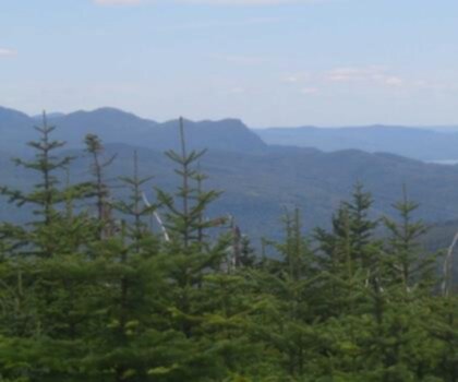 Bemis Mountain, Maine trail - hiking in Western Mountains