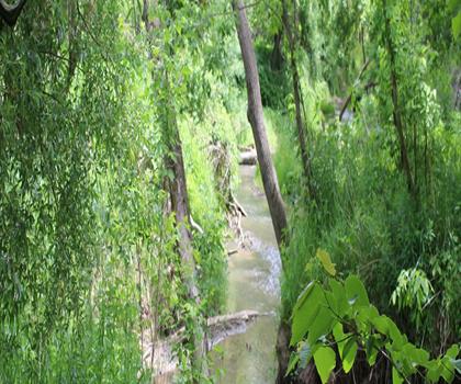Short Hills Provincial Park trail - hiking in Niagara Canada