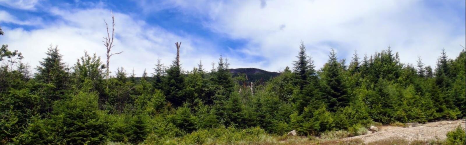 Hiking Elephant Mountain, Maine - panoramic view