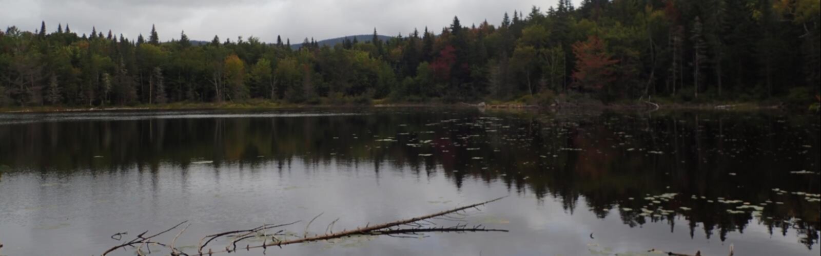 Hiking Moody Mountain, Maine - panoramic view