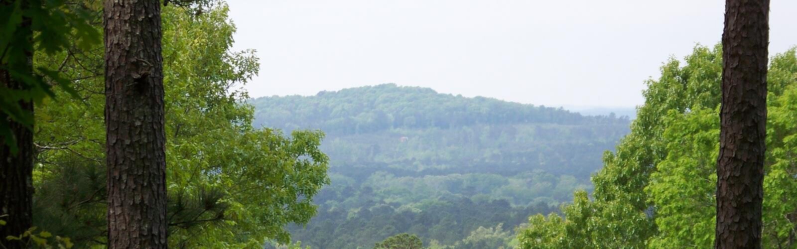 Driskill Mountain, Louisiana, Louisiana