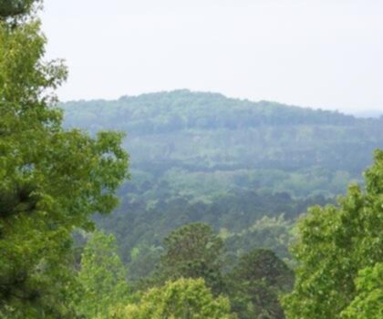 Driskill Mountain, Louisiana trail - hiking in Louisiana