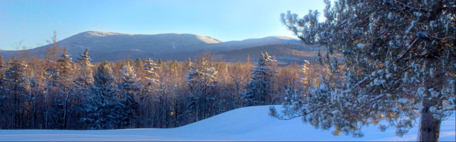 Hiking Bread Loaf Mountain, Vermont - panoramic view