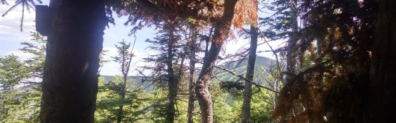 Hiking Rams Head, Vermont - panoramic view