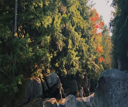 Baldpate Mountain-West Peak, Maine trail - hiking in Western Mountains