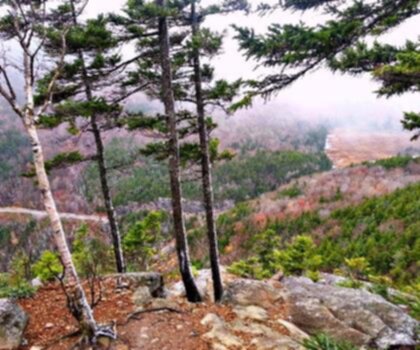 Jackson Mountain, Maine trail - hiking in Western Mountains