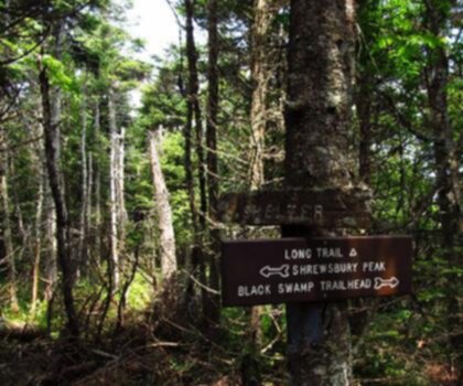Shrewsbury Peak, Vermont trail - hiking in Green Mountains