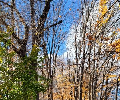 Farmington River trail - hiking in Central Connecticut