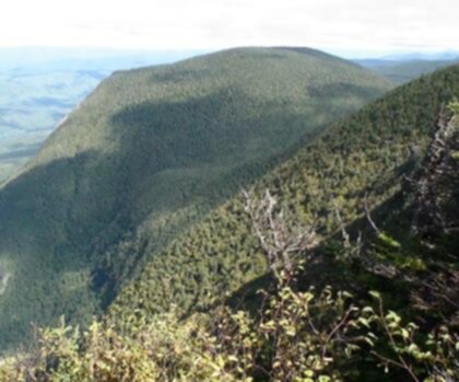 Sentier Mont du Blizzard - randonnée en Cantons-de-l'Est