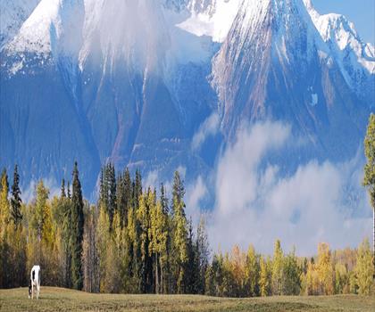 Hudson Bay Mountain trail - hiking in Northern British Columbia