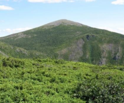 Mont Richardson trail - hiking in Gaspésie - Îles-de-la-Madeleine