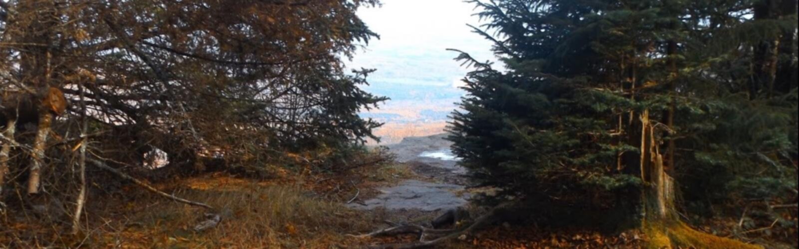 Hiking Stoppel Point, New York - panoramic view