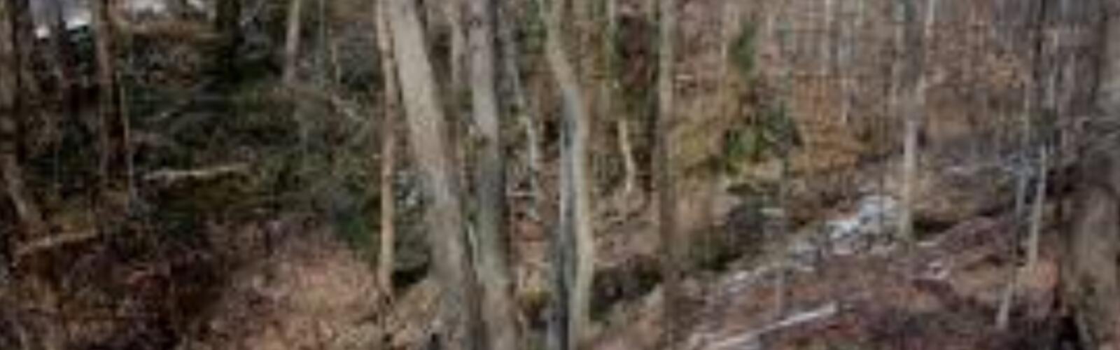 Hiking Donaldson Mountain, New York - panoramic view