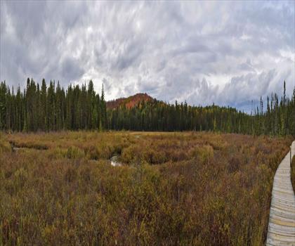 Sentier étang Beaver - randonnée en Northeastern Ontario