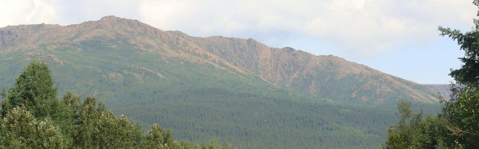 Sentier Mont Albert - randonnée en Gaspésie