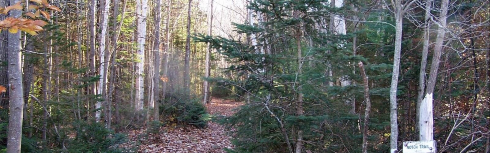 Hiking Goose Eye Mountain, Maine - panoramic view