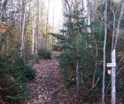 Goose Eye Mountain, Maine trail - hiking in Western Mountains