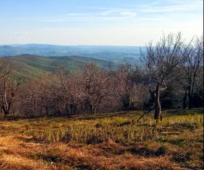 Grass Mountain, Vermont trail - hiking in Southern Vermont