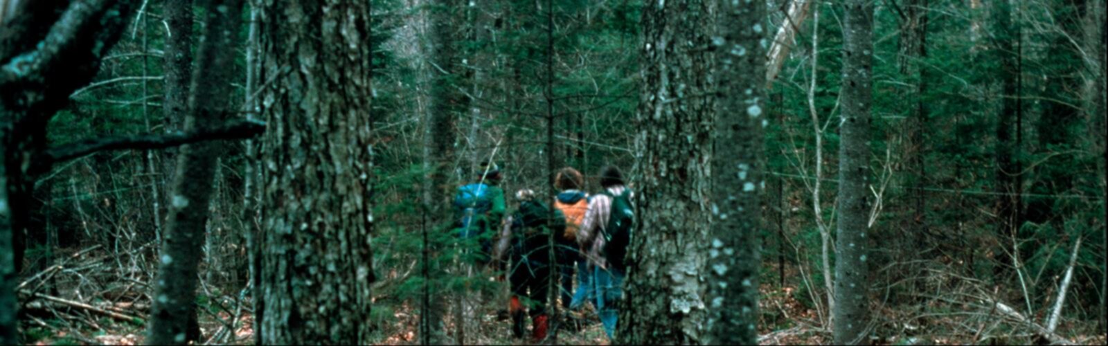Hiking Nye Mountain, New York - panoramic view