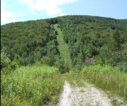 Berlin Mountain, New York trail - hiking in Capital-Saratoga